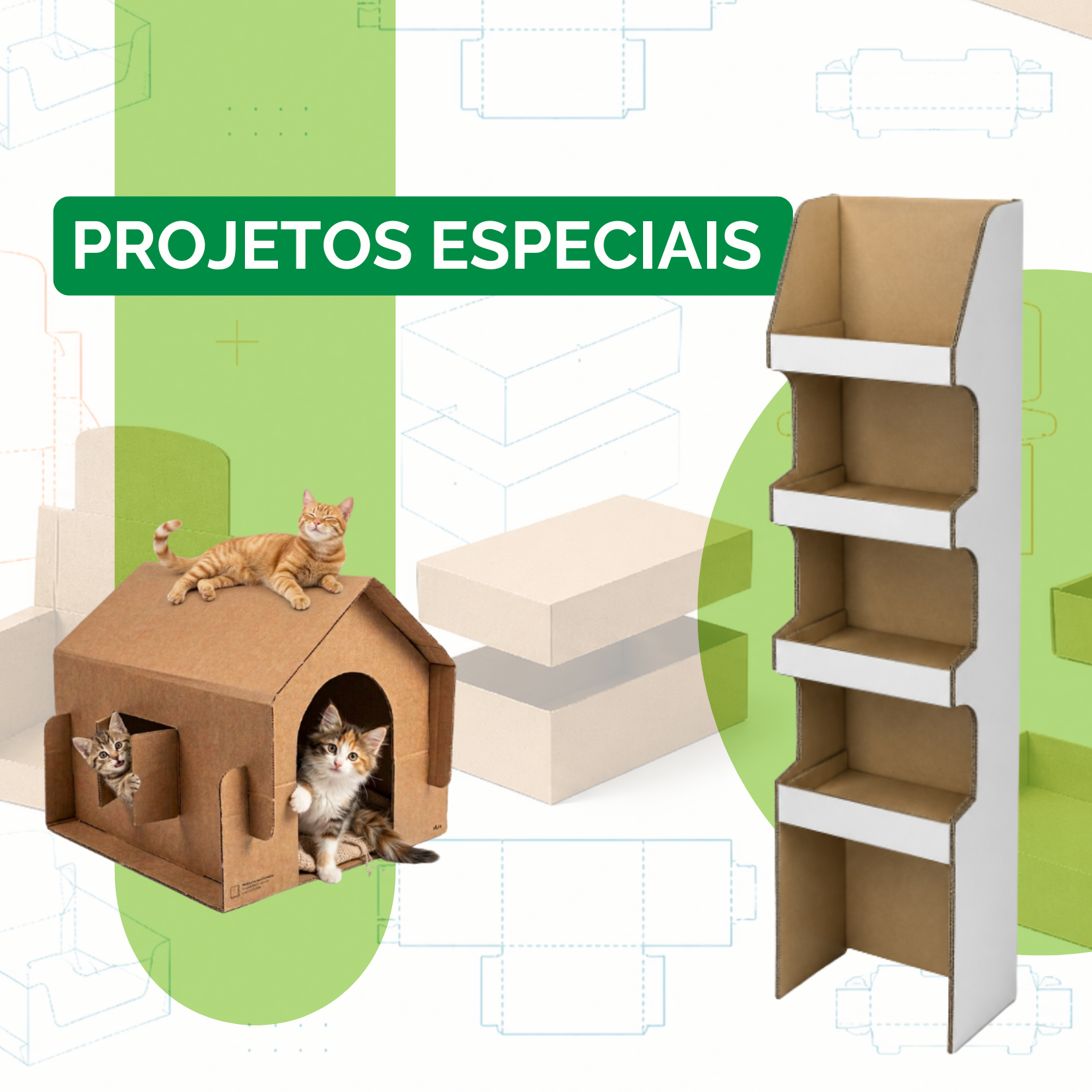 Projetos Especiais